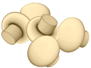 Plaatjes Champignon 