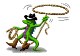 Plaatjes Cowboy 