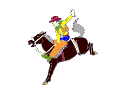 Plaatjes Cowboy 