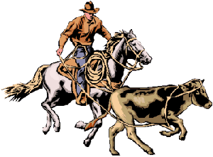 Plaatjes Cowboy 