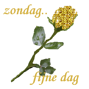 Plaatjes Dagen Zondag, Bloem, Fijne Dag