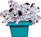 Plaatjes Dalmatiers 