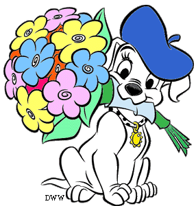 Plaatjes Dalmatiers 