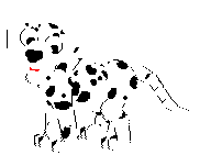 Plaatjes Dalmatiers 