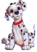 Plaatjes Dalmatiers 