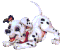 Plaatjes Dalmatiers 