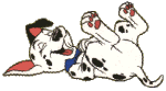 Plaatjes Dalmatiers 