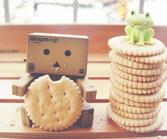 Plaatjes Danbo 