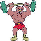 Plaatjes Dieren sport Bruine Beer Gewichtheffen Bodybuilder