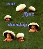 Plaatjes Dinsdag 