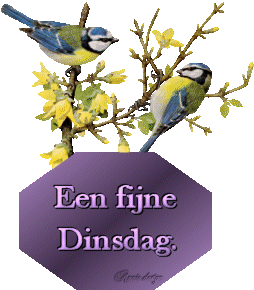 Plaatjes Dinsdag 