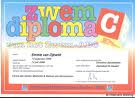 Plaatjes Diploma 