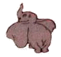 Dombo Plaatjes 