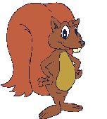 Eekhoorns Plaatjes 