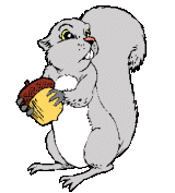 Eekhoorns Plaatjes 