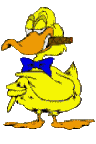 Eenden Plaatjes 