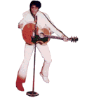 Elvis Plaatjes 