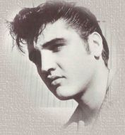 Elvis Plaatjes 