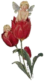 Engelen Plaatjes 