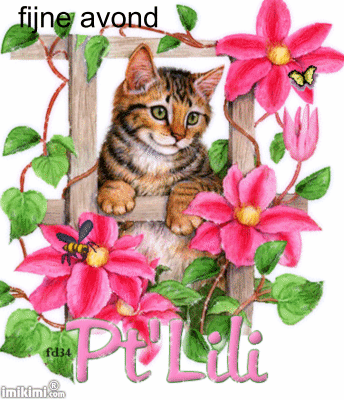 Plaatjes Fijne avond 