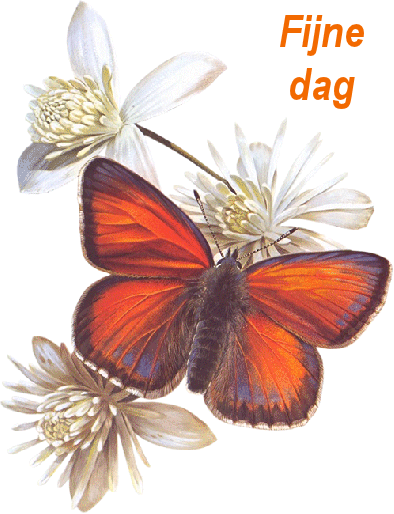 Plaatjes fijne dag 