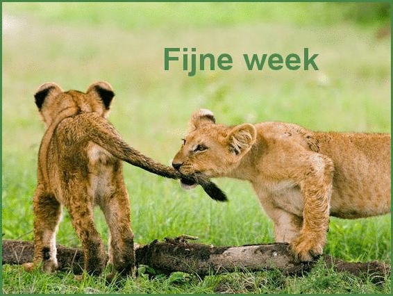 Plaatjes fijne week 