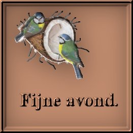 Plaatjes Fijne 
