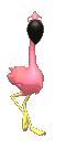 Flamingo Plaatjes 