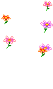 Plaatjes Floaties bloemen 