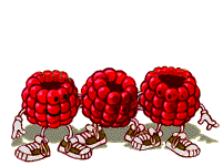 Plaatjes Framboos Frambozen Met Benen