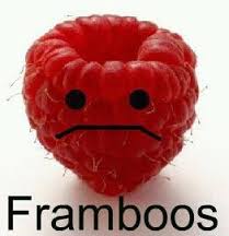 Plaatjes Framboos Framboos