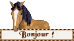 Plaatjes Franse teksten Bonjour Paard