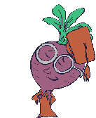 Fruit Plaatjes 