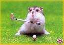 Plaatjes Funny hamsters Muis Golfclub