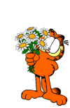 Garfield Plaatjes 
