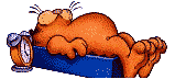 Garfield Plaatjes Garfield, Kat, Slapen, Wekker
