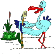 Geboorte Plaatjes 