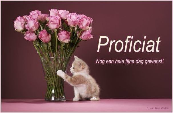 bosje bloemen plaatjes plaatje gefeliciteerd 187 animaatjes nl bosje bloemen plaatjes plaatje gefeliciteerd 187 animaatjes nl