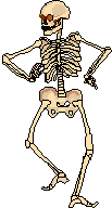 Plaatjes Geraamte Skelet Zombie