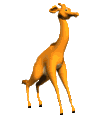 Giraffen Plaatjes Giraffe Zonder Vlekken