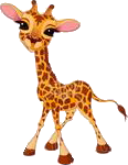 Giraffen Plaatjes Meisjes Giraffe Staat Stuntelig