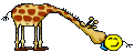 Giraffen Plaatjes Smilie Aait Giraffe