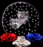 Globes Plaatjes 