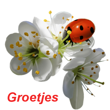 Afbeeldingsresultaat voor groetjes