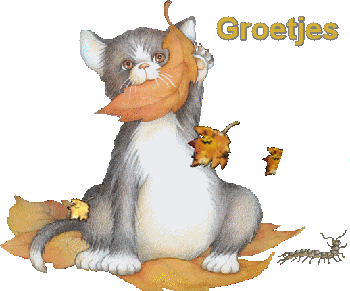 animaatjes-groetjes-66441.gif