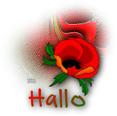 Plaatjes Hallo 