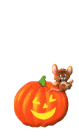 Halloween Plaatjes 