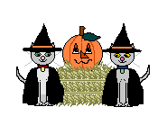 Halloween Plaatjes 