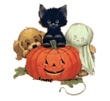Halloween Plaatjes 