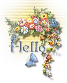 Plaatjes Hello 